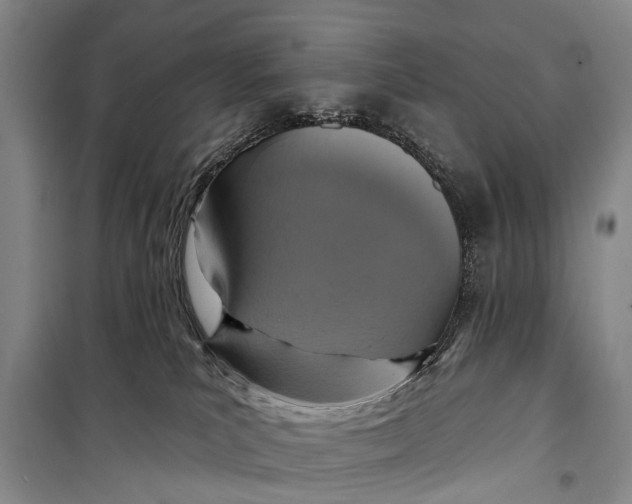 X0000098200039200805151239