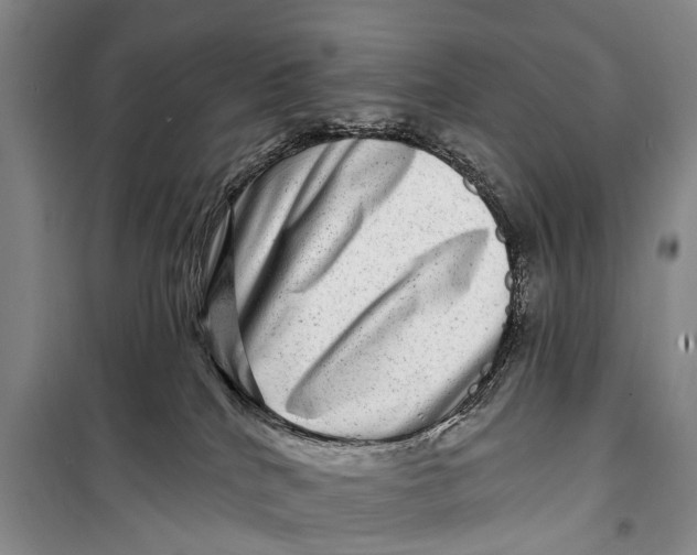 X0000098200040200805151239