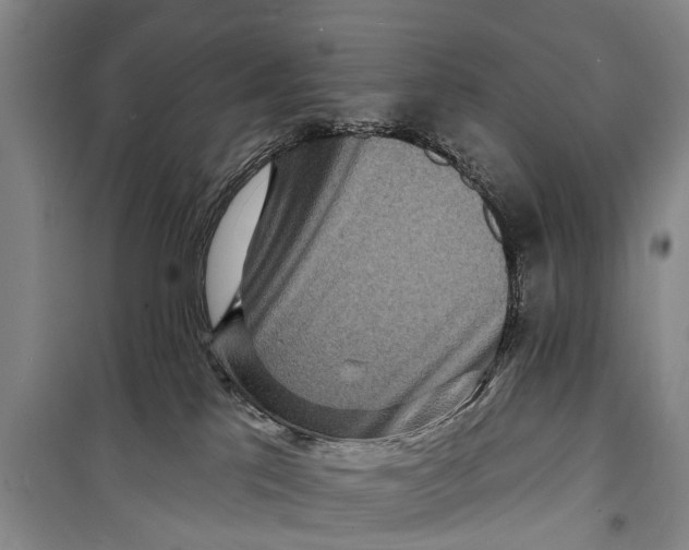 X0000098200041200805151239