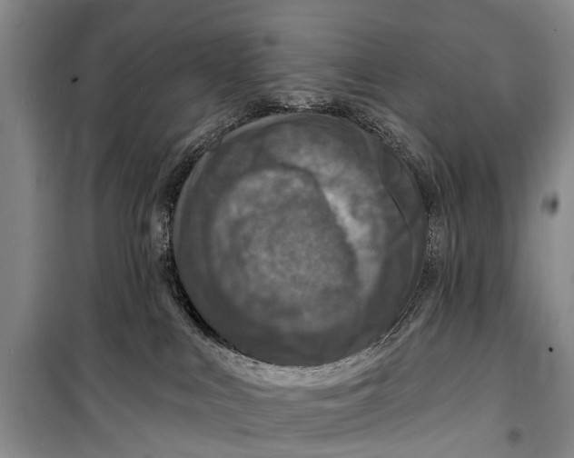 X0000098200043200805151239