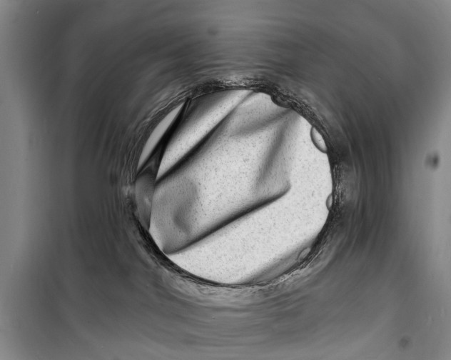 X0000098200044200805151239