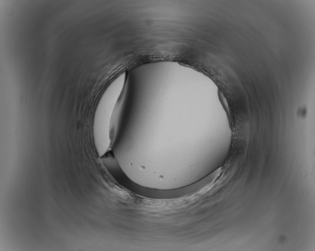 X0000098200045200805151239