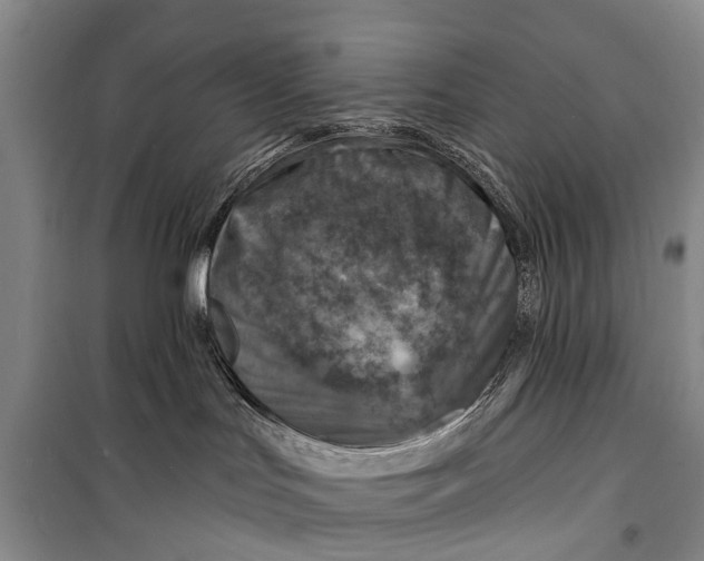 X0000098200047200805151239