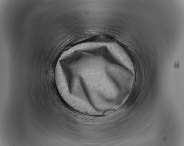X0000098200048200805151239