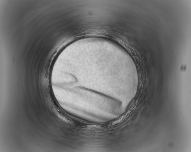 X0000098200050200805151238