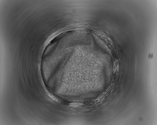 X0000098200051200805151238