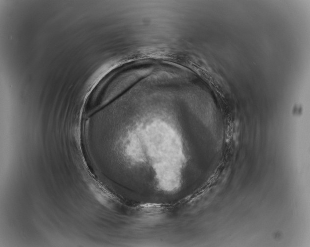 X0000098200052200805151238