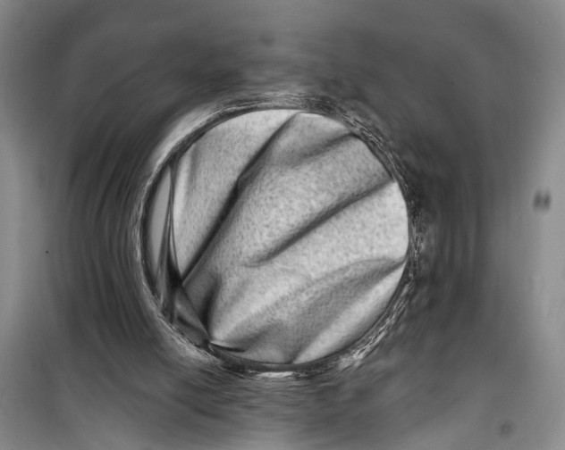 X0000098200054200805151238