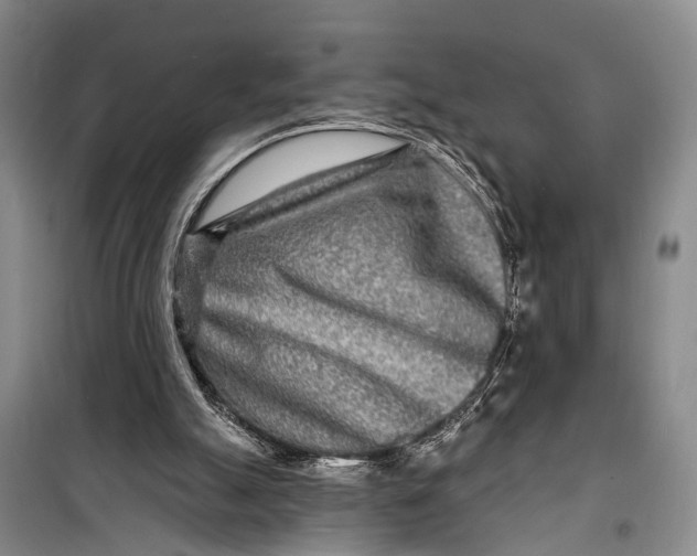 X0000098200055200805151238