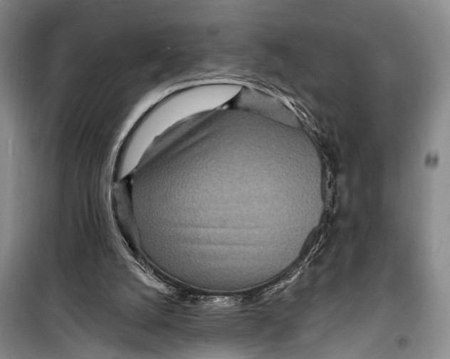 X0000098200056200805151238