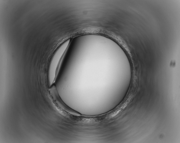X0000098200057200805151238