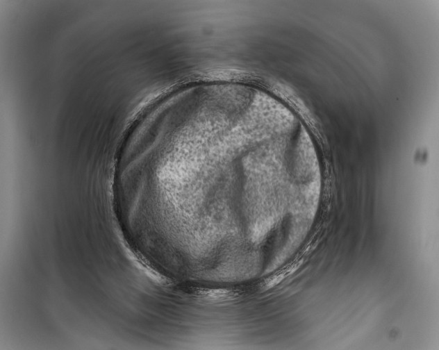 X0000098200058200805151238