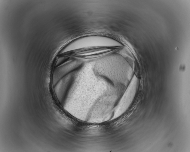 X0000098200059200805151238