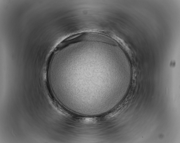 X0000098200060200805151238