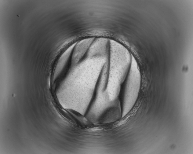 X0000098200062200805151238