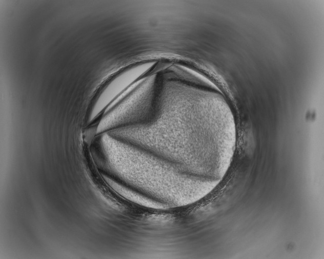 X0000098200063200805151238