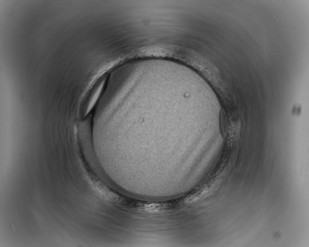 X0000098200064200805151238