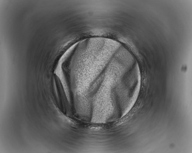 X0000098200066200805151238