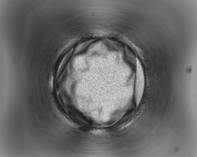 X0000098200067200805151238