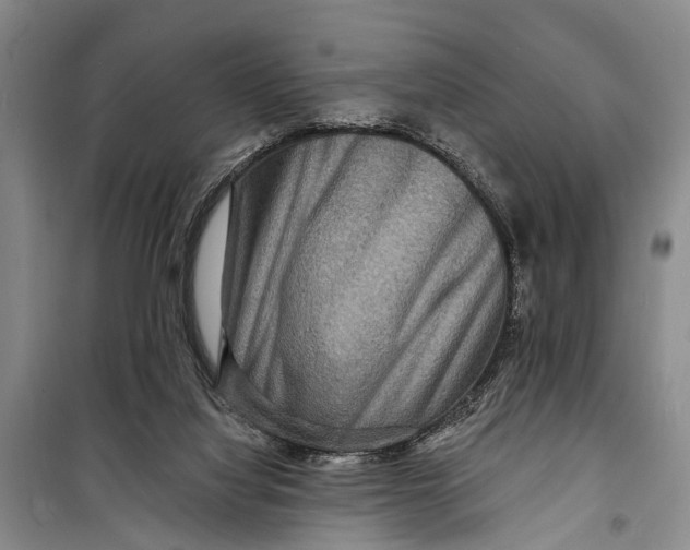 X0000098200068200805151238