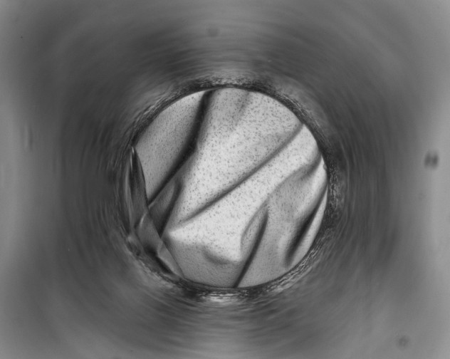 X0000098200070200805151238