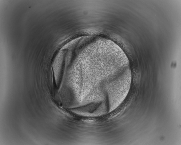 X0000098200071200805151238