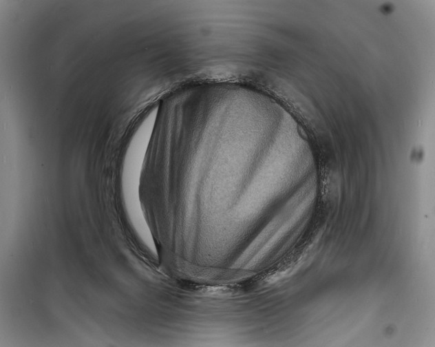 X0000098200072200805151238
