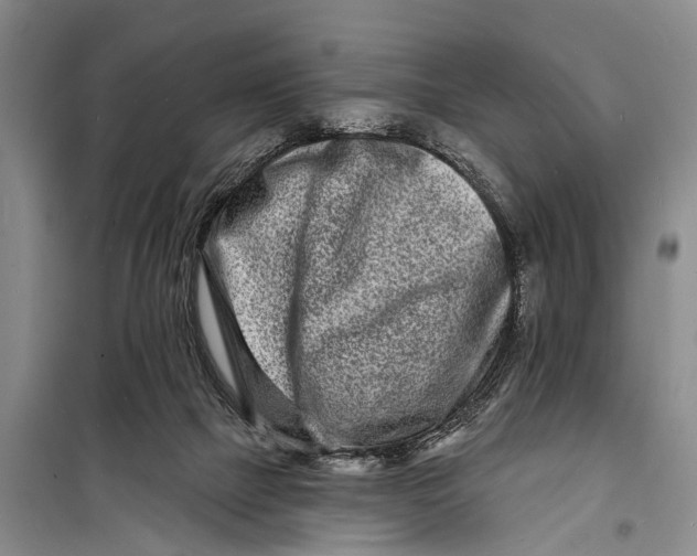 X0000098200073200805151238