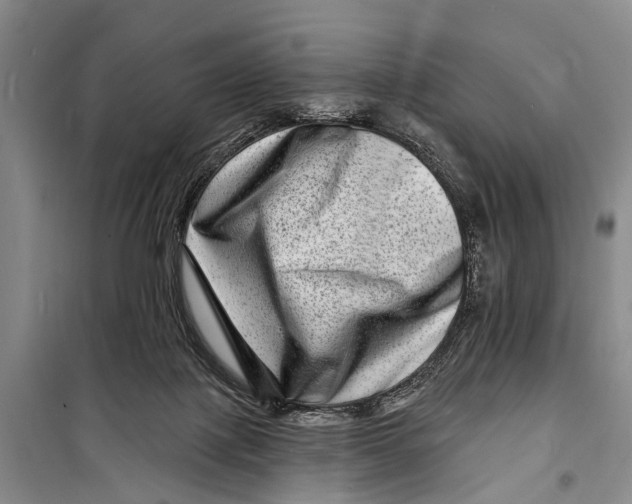 X0000098200075200805151238