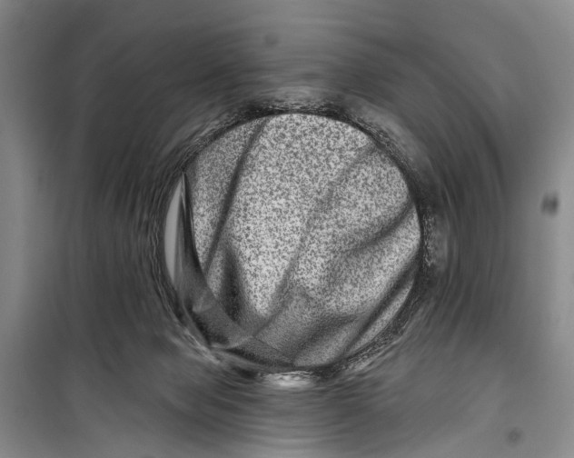 X0000098200077200805151238