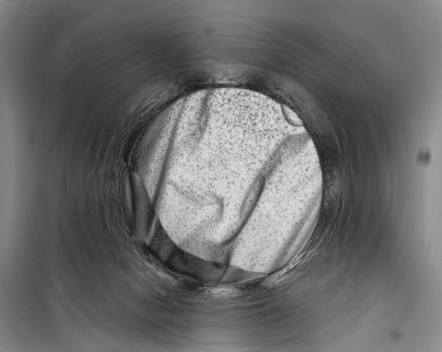 X0000098200078200805151238