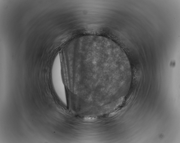 X0000098200080200805151238