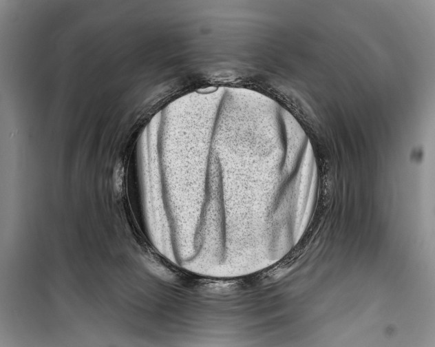 X0000098200081200805151239