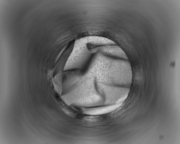 X0000098200082200805151239