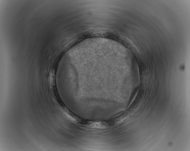 X0000098200083200805151239
