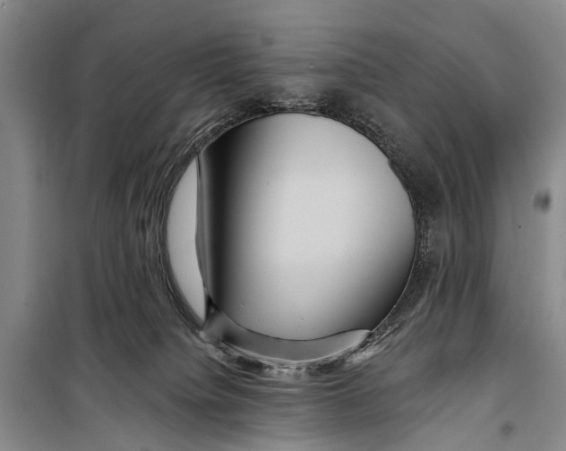 X0000098200084200805151239