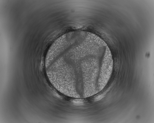 X0000098200085200805151239