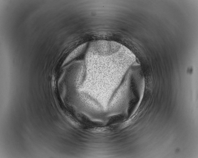 X0000098200086200805151239