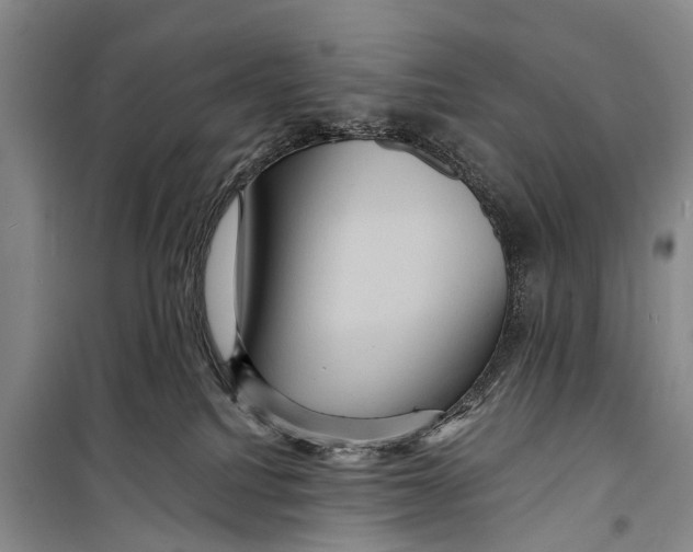 X0000098200088200805151239