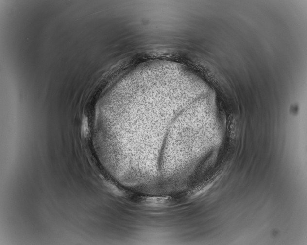 X0000098200089200805151239