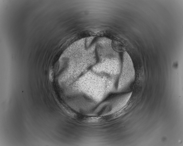 X0000098200090200805151239