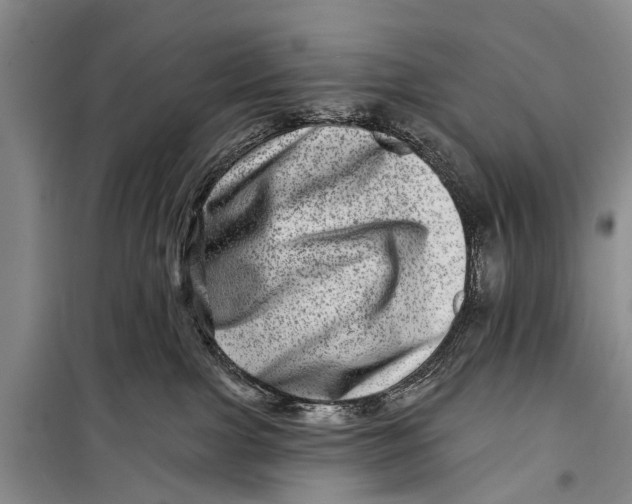 X0000098200091200805151239