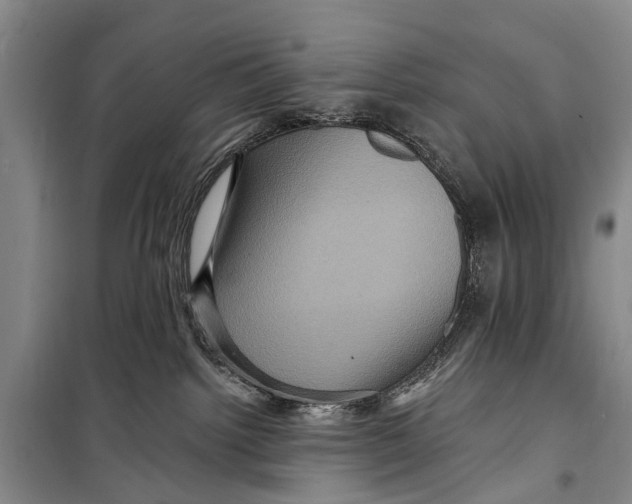 X0000098200092200805151239