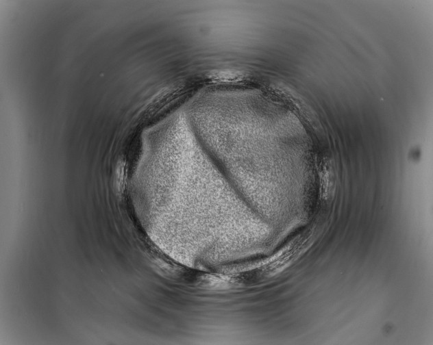 X0000098200093200805151239