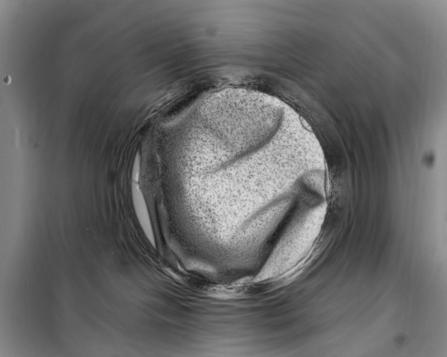 X0000098200094200805151239