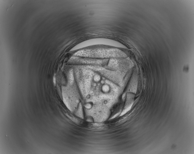 X0000098200095200805151239