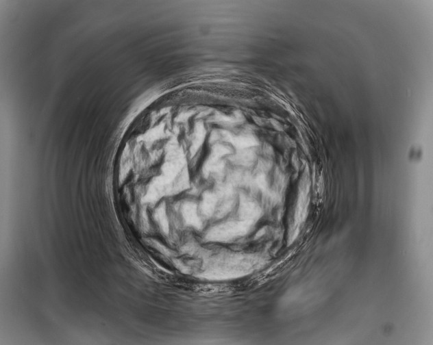X0000098200099200805151238
