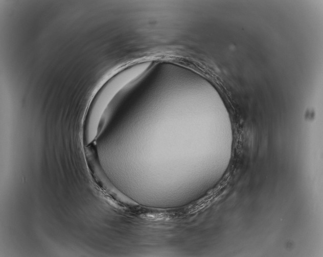 X0000098200100200805151238