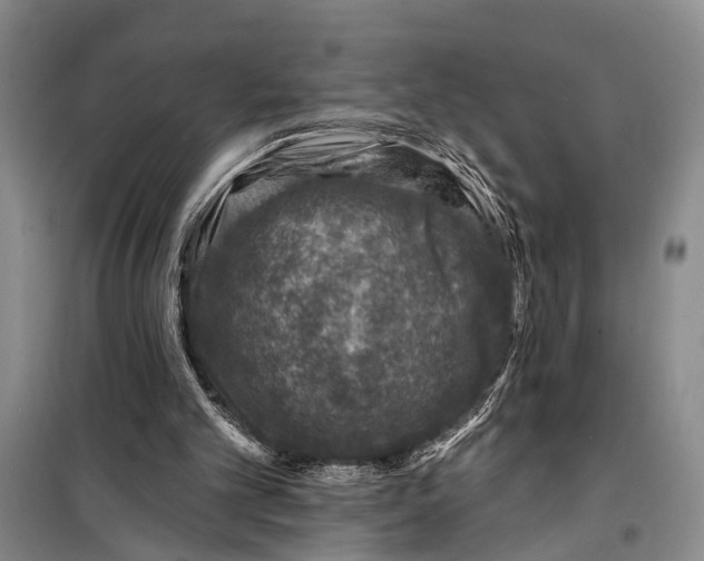 X0000098200101200805151238