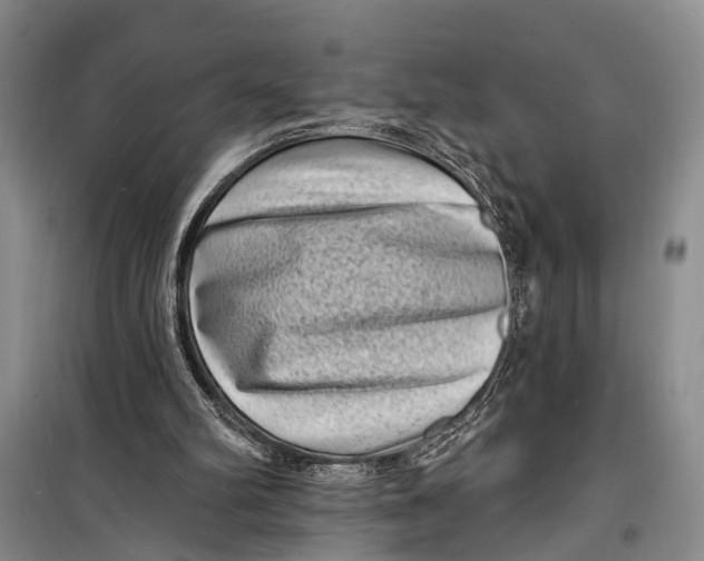 X0000098200102200805151238